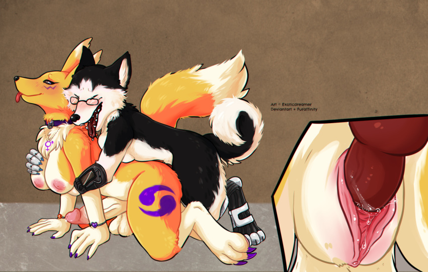 1_dickgirl 1_herm 2017 2_anthros 3_toes 5_fingers all_fours animal_genitalia animal_penis anthro anthro_canine anthro_fox areola armwear big_penis black_fur blush breasts canine canine_penis claws closed_eyes clothing collar dickgirl dickgirl/herm dickgirl_anthro dickgirl_penetrating digimon dog duo english_text erection exoticdreamer eyewear fox fur furry genital_focus glasses herm_anthro hermaphrodite humanoid_penis husky intersex intersex/intersex intersex_penetrating jewelry leash mammal multiple_images multiple_tails necklace nipples nude penetration penis penis_in_pussy pink_nipples purple_claws pussy pussy_juice renamon sex sideboob tail teeth testicles toe_claws toei_animation tongue tongue_out tuft two_tone_fur vaginal vaginal_penetration white_fur yellow_fur