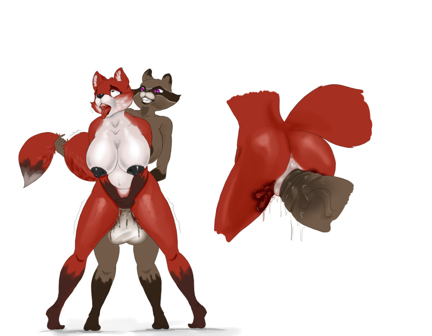 1girl anthro big_breasts black_nipples blush breasts brown_fur canine dickgirl dickgirl/female duo forced fox fur furry hyper hyper_penis intersex intersex/female mammal nipples nukenugget orgasm_face original penis prodding purple_eyes pussy_juice raccoon rape_face red_fur roxie_raccoon spread_legs spreading tail_grab tongue tongue_out white_belly white_fur