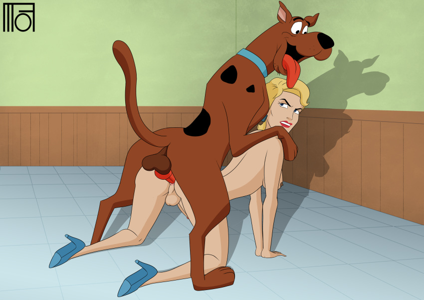 1boy 1futa all_fours anal anal_insertion anal_penetration anal_sex bestiality blonde_female blonde_hair blue_eyes blue_heels brown_fur cartoon_network dickgirl dog dog_ears dog_knot doggy_position futanari hanna-barbera kitchen male_on_futa moffoffo penis scooby scooby-doo scooby-doo_on_zombie_island simone_lenoir tongue_out zoophilia
